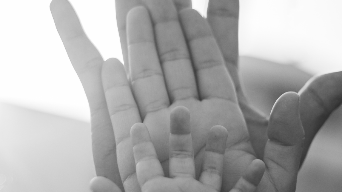 Diseno-sin-titulo-10